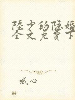 陆少的隐婚罪妻全文免费下载