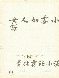 女人如雾小王小说