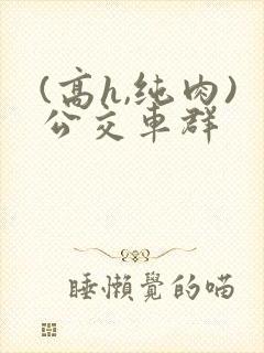 (高h,纯肉)公交车群封面