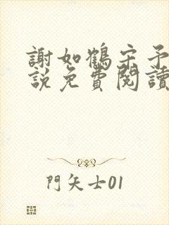 谢如鹤宋予朵小说免费阅读最新章节