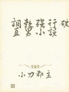 调教强行破苞h直男小说封面