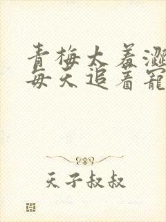 青梅太羞涩竹马每天追着宠小说最新