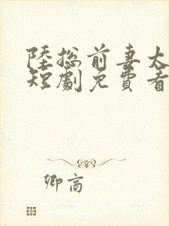 陆总前妻太傲娇短剧免费看