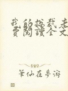 我的总裁老婆免费阅读全文封面