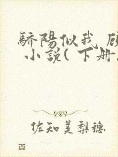 骄阳似我 顾漫 小说( 下册)