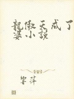 龙傲天成了我老婆小说封面