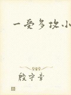 一受多攻小说h