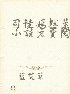 司徒嫣然叶凡的小说免费阅读