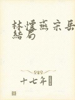 林怀燕宋岳泽大结局封面