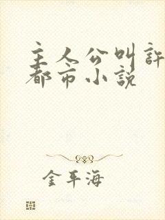 主人公叫许阳的都市小说