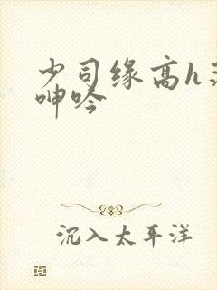 少司缘高h荡肉呻吟