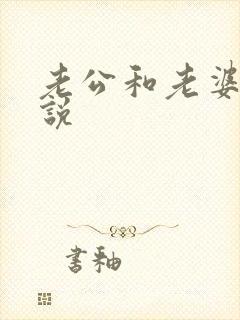 老公和老婆的小说封面