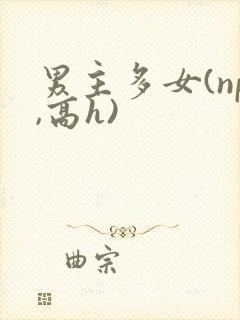 男主多女(np,高h)封面