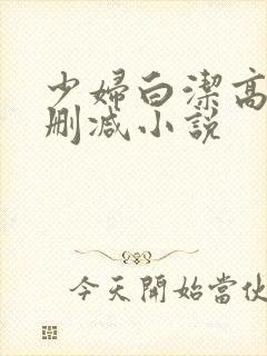 少妇白洁高义无删减小说