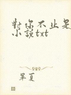 对你不止是喜欢小说txt