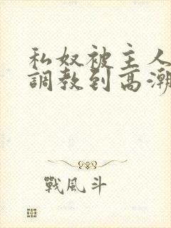 私奴被主人玩弄调教到高潮小说