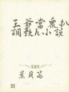 王爷当众扒开蒂调教h小说