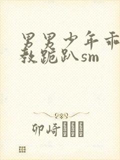 男男少年乖h调教跪趴sm