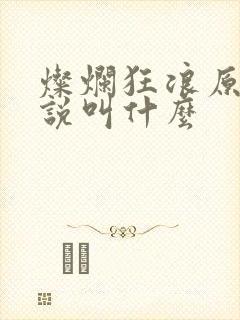 灿烂狂浪原著小说叫什么