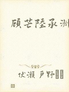 顾芒陆承洲全集封面