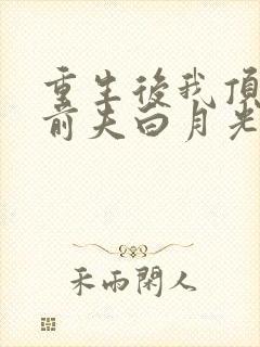 重生后我顶替了前夫白月光之