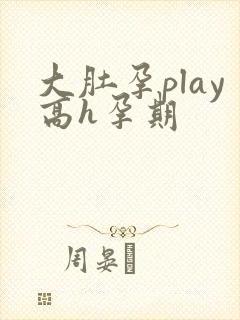 大肚孕play高h孕期