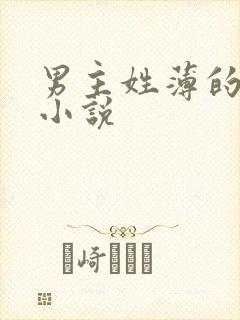男主姓薄的总裁小说