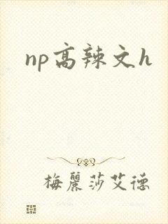 np高辣文h
