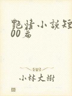 艳情小说短篇500篇封面