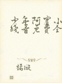 少年阿宾小说在线看免费全文无弹窗封面