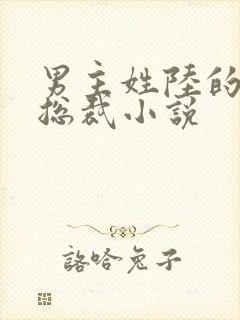 男主姓陆的豪门总裁小说封面