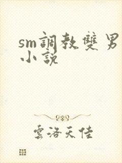 sm调教双男主小说封面