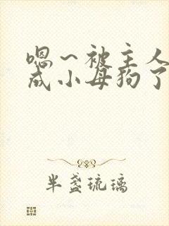 嗯～被主人调教成小母狗了啊啊啊太爽了