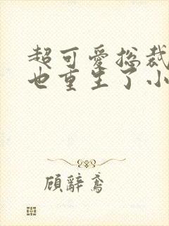 超可爱总裁老婆也重生了小说