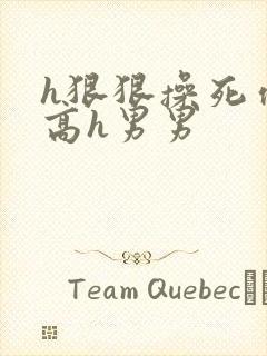 h狠狠操死你h高h男男封面