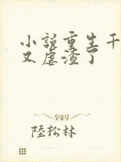 小说重生千金她又虐渣了