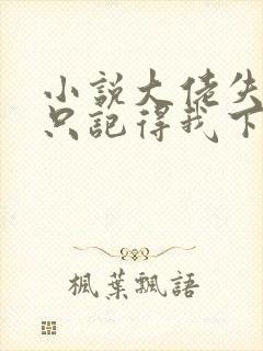 小说大佬失忆后只记得我下载