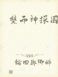 双面神探国语版