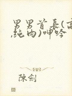 男男首长(高h,纯肉)呻吟