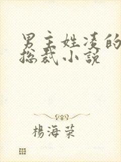 男主姓凌的霸道总裁小说封面