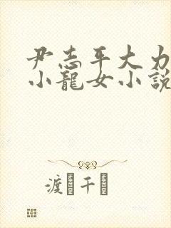 尹志平大力挺入小龙女小说封面