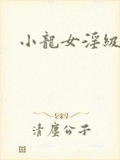 小龙女淫级史封面