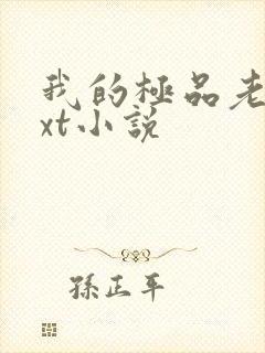 我的极品老婆txt小说