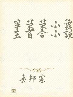 宁荣荣小舞双女主百合小说