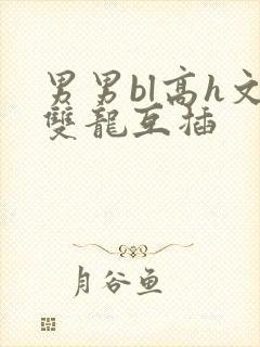 男男bl高h文双龙互插
