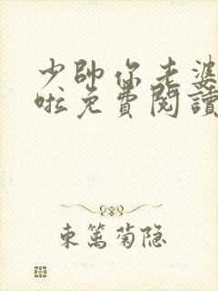 少帅你老婆又跑啦免费阅读