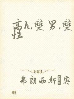 高h,双男,双性