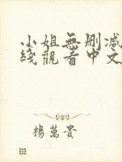 小姐无删减版在线观看中文