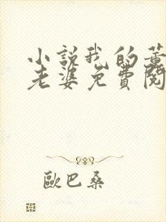 小说我的董事长老婆免费阅读