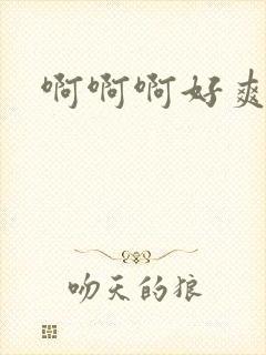 啊啊啊好爽h文封面